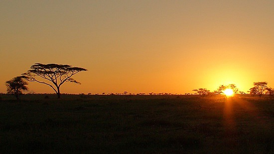 Todd Phillips tweet media