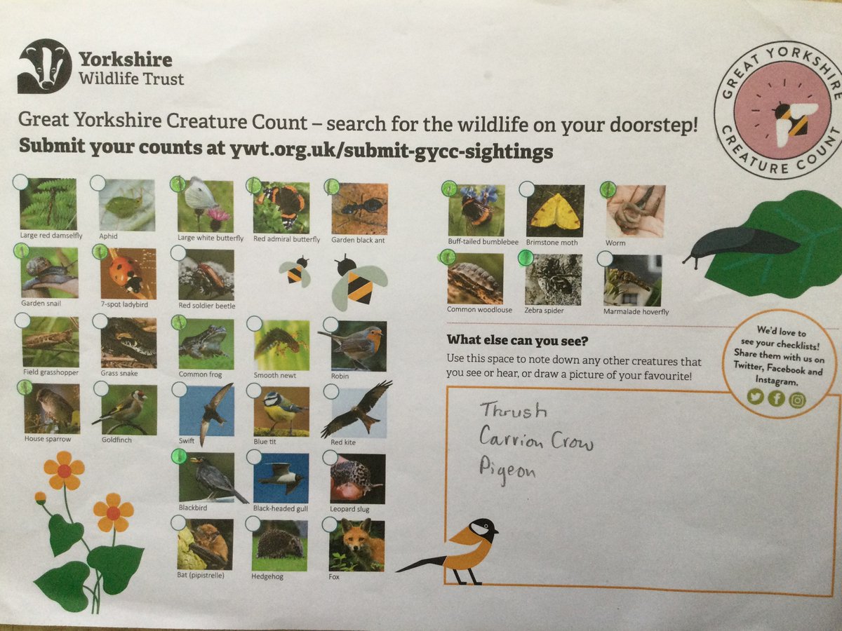 burlingtonjnr's tweet photo. We completed the Great Yorkshire Creature Count - we found 12 out of the 30 species listed (we know the robin is often there but not on our counting day). Pupils enjoyed listening and looking for wildlife. #CreatureCount @YorksWildlife @NatureFSchools https://t.co/sUDrOmS1ve
