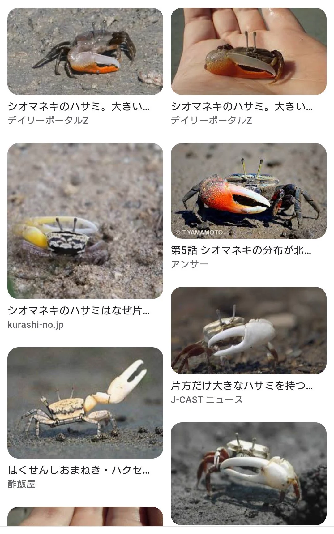涙袋をメダカのお腹みたいはひどい。
シオマネキのハサミみたいって思ってるからシオマネキメイクって僕は言ってるよ。  