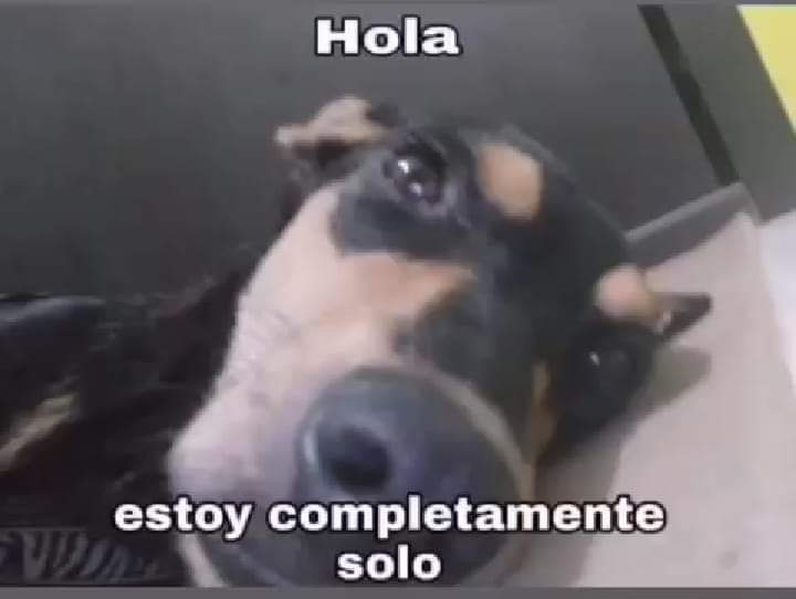 ittoemo's tweet photo. YO TMB QUIERO UNA GANG https://t.co/BzVrfQ5jw4