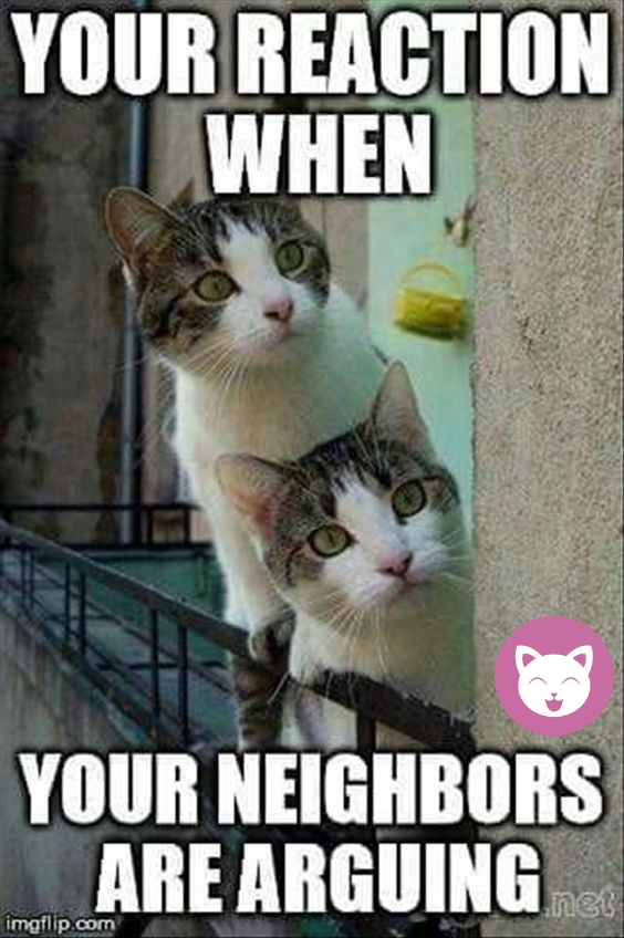 cryp_mon's tweet photo. “I believe cats to be spirits come to earth. A cat, I am sure, could walk on a cloud without coming through.” @cutekittyorg @FarmSanctuary @cryptoanimals_ @Animals1st 
#cutekittytothemoon #binancesmartchain #animalrights #cryptocurrency #animalshelters #crypto #cutekitty #charity https://t.co/4d5iLukwVb