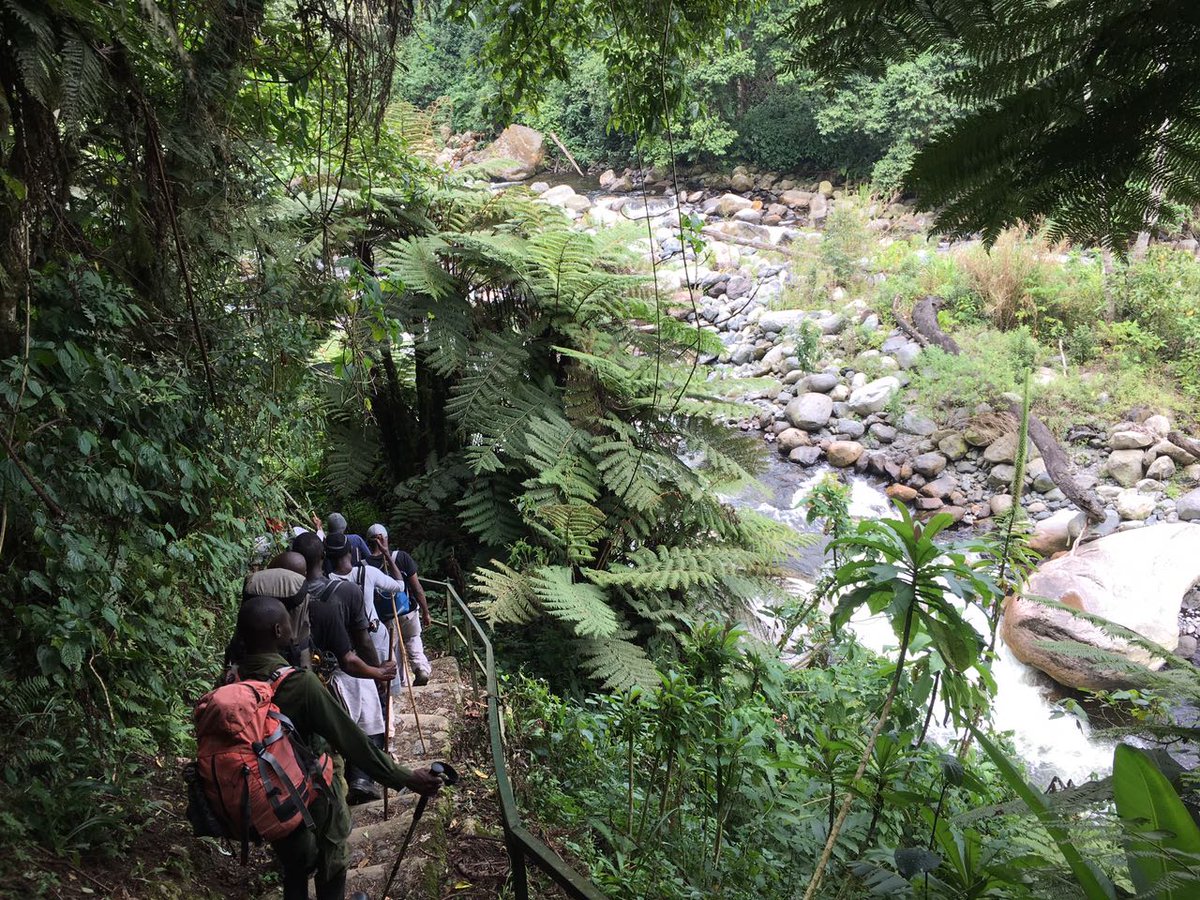 braveescape's tweet photo. Now more than ever, hiking and mountaineering is a way to explore and discover Uganda’s natural wonders.
Come take on these adventures with us.
#braveescapeafrica
#hikingadventures https://t.co/4SIdxJrUyw