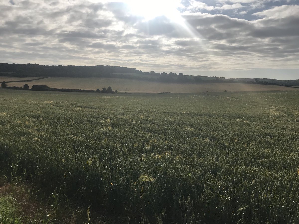 Prior_Adam's tweet image. “The earth is the Lords and everything in it” Psalm 24:1
Thank you O Jesus for a new decade!