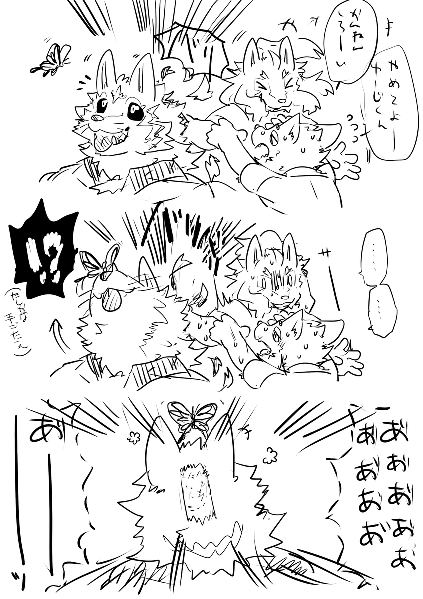 サマーカットの季節ですね

#琥珀寮 