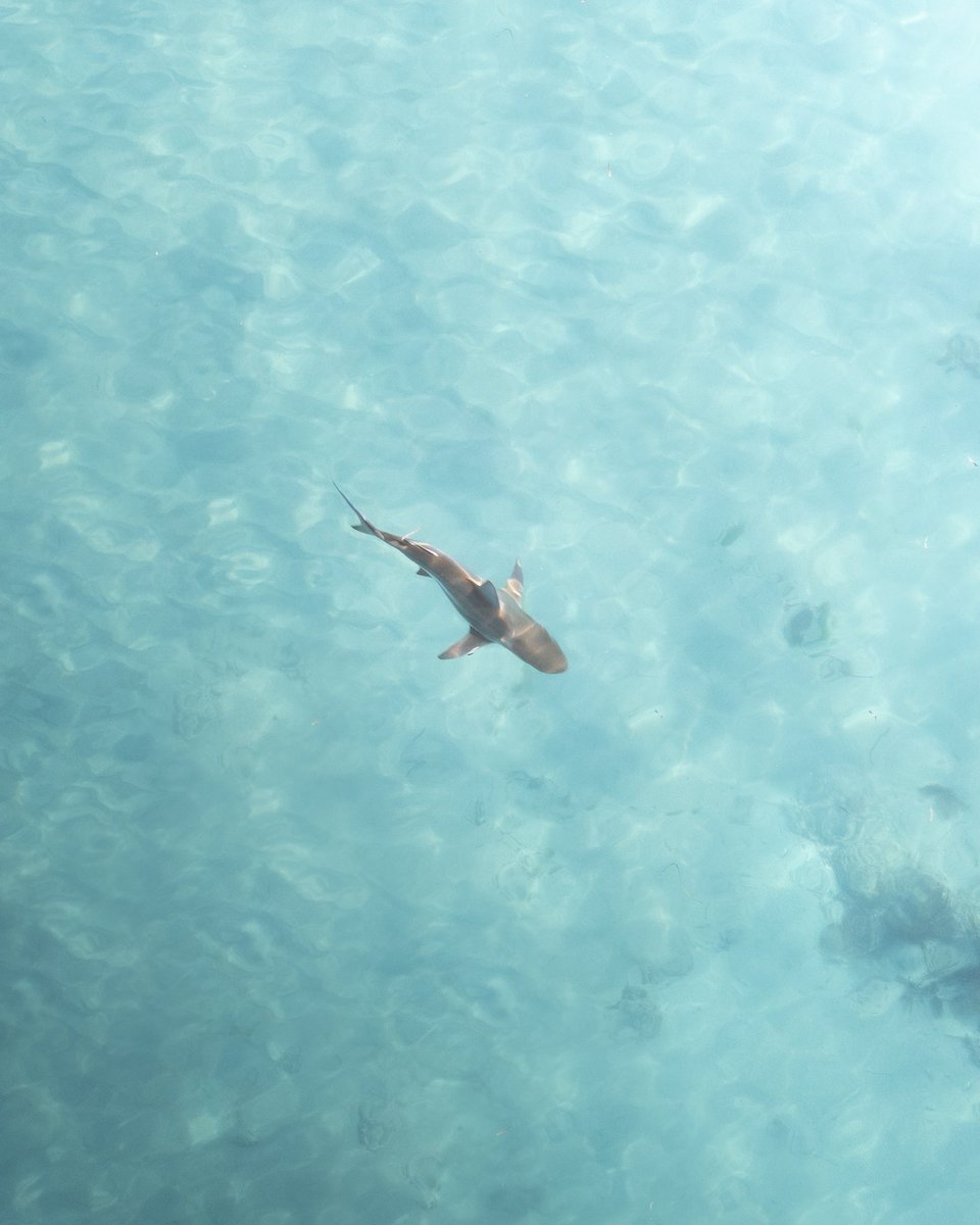 Capturesbyjordan tweet media