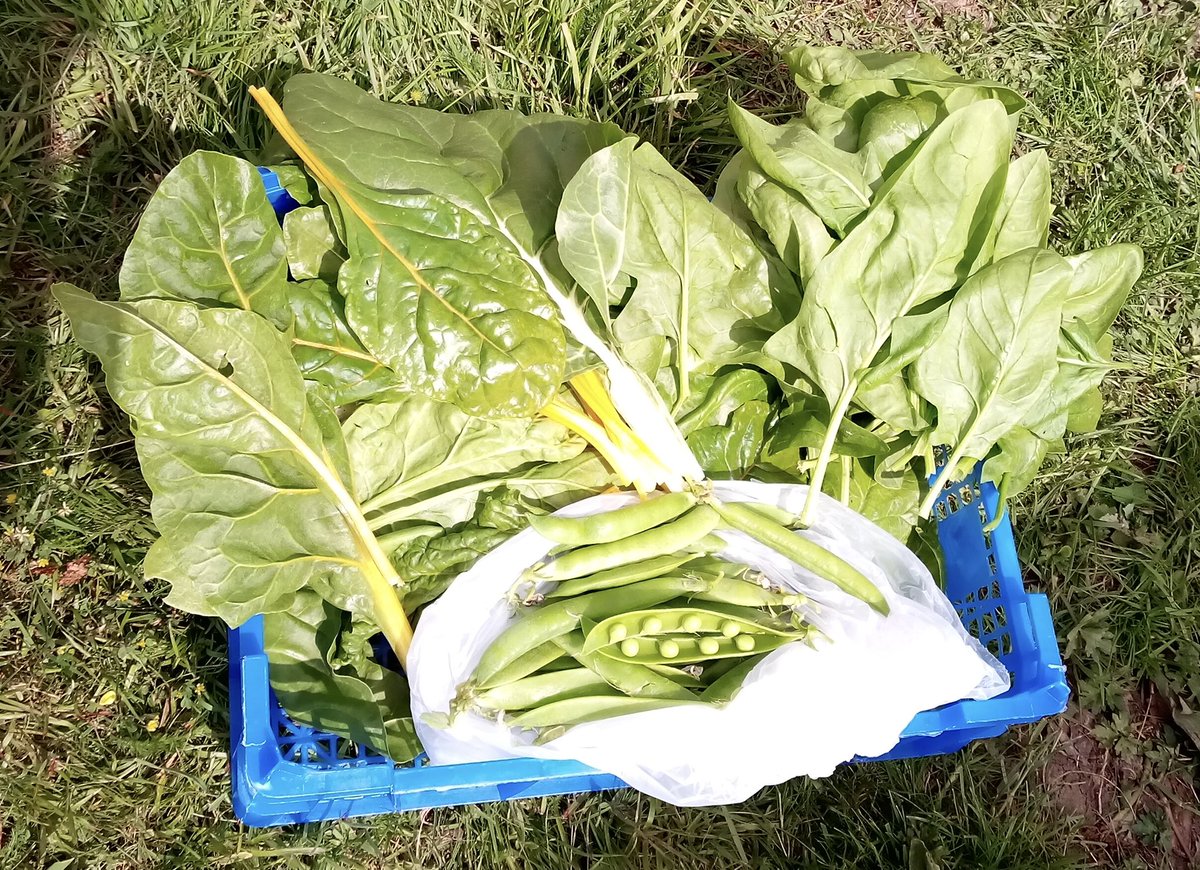 Lewis Girls' Science tweet media