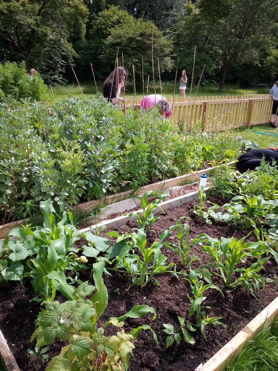 Lewis Girls' Science tweet media