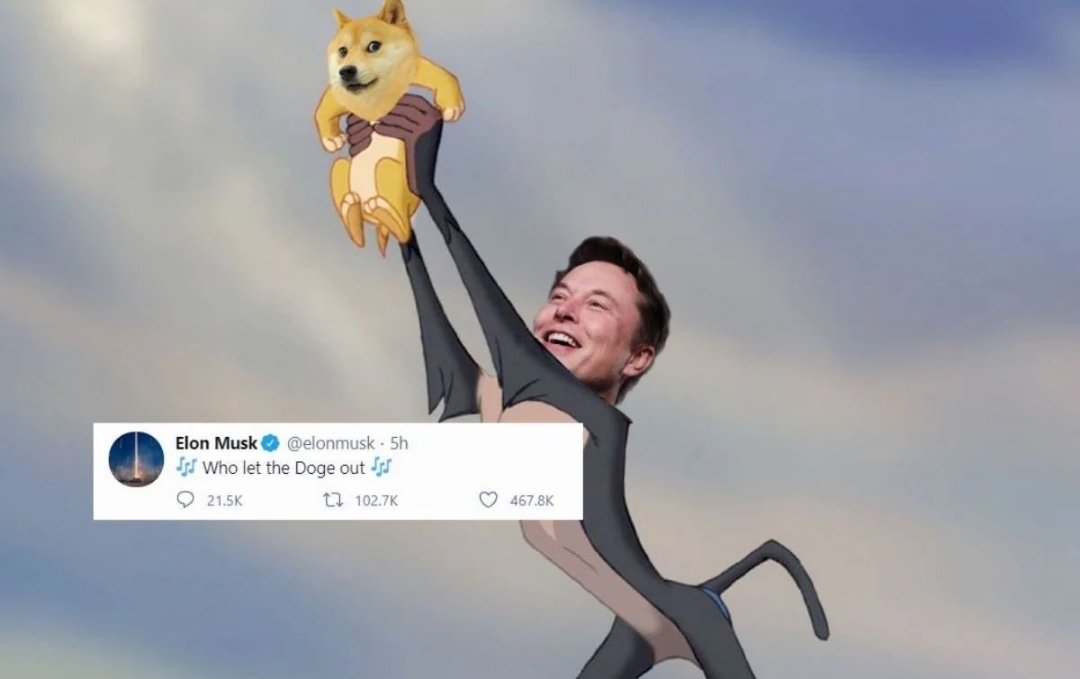 bitcoinlfgo's tweet photo. Tell me is it #dogecoin or #BabyDogeCoin 
In #ElonMusk hands! https://t.co/bjMSzaWfMu