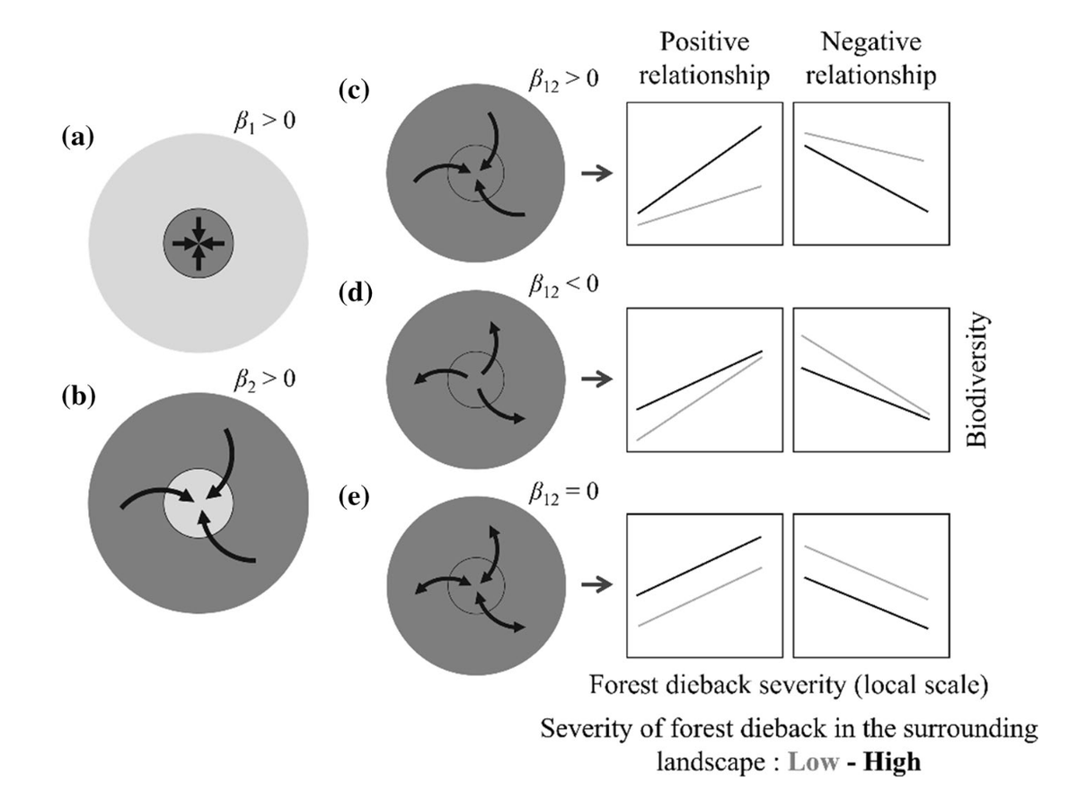 lopezvaamonde's tweet photo. A new paper led by @Jeremy_Cours on how forest diebacks positively affect the diversity of #saproxylic beetles at both local and landscape levels.
https://t.co/BKpeeRapNK
Part of project #ClimTree
@INRAE_VDL
@Dynafor_Lab
@IRBI_Tours
Funded by @Belmont_Forum @AgenceRecherche https://t.co/h5C6w5x5Fo