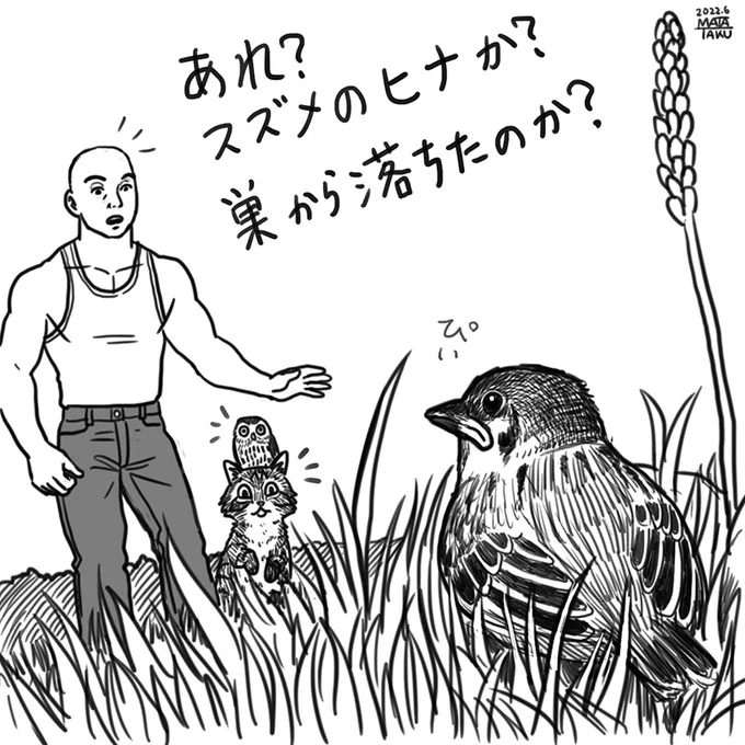 小鳥も巣立ちのシーズンですねぇ

 #猫フク 