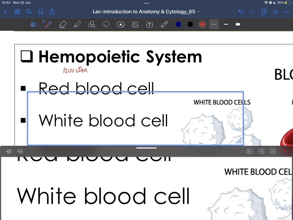 หวัดดีเตง