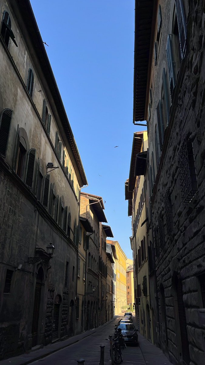 annaapesce's tweet photo. anch’io oggi 6:30 e via una passeggiata di due orette 🥰 https://t.co/3XYWrnDfa1