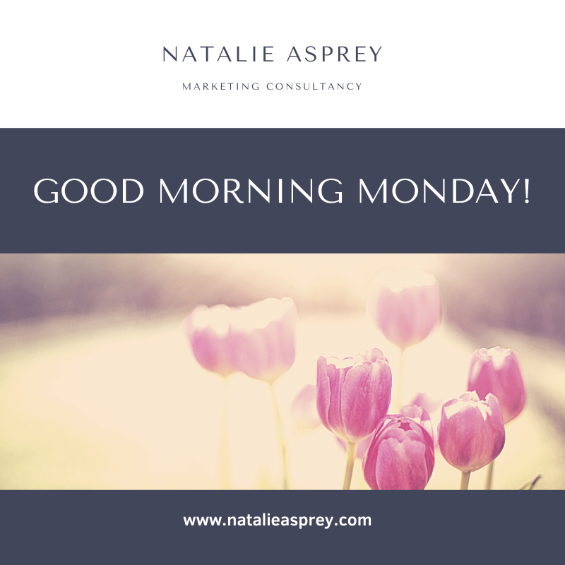 #GoodMorningMonday 

A busy week ahead 
Today: <a href="/thestorkandi/">The Stork And I</a> 
Wednesday: <a href="/TechFemale/">FemaleTechFounder</a> 
Thursday: <a href="/_ConfidenceComm/">The Confidence Collective</a> 

All with my trusty 14 week old sidekick :-)
