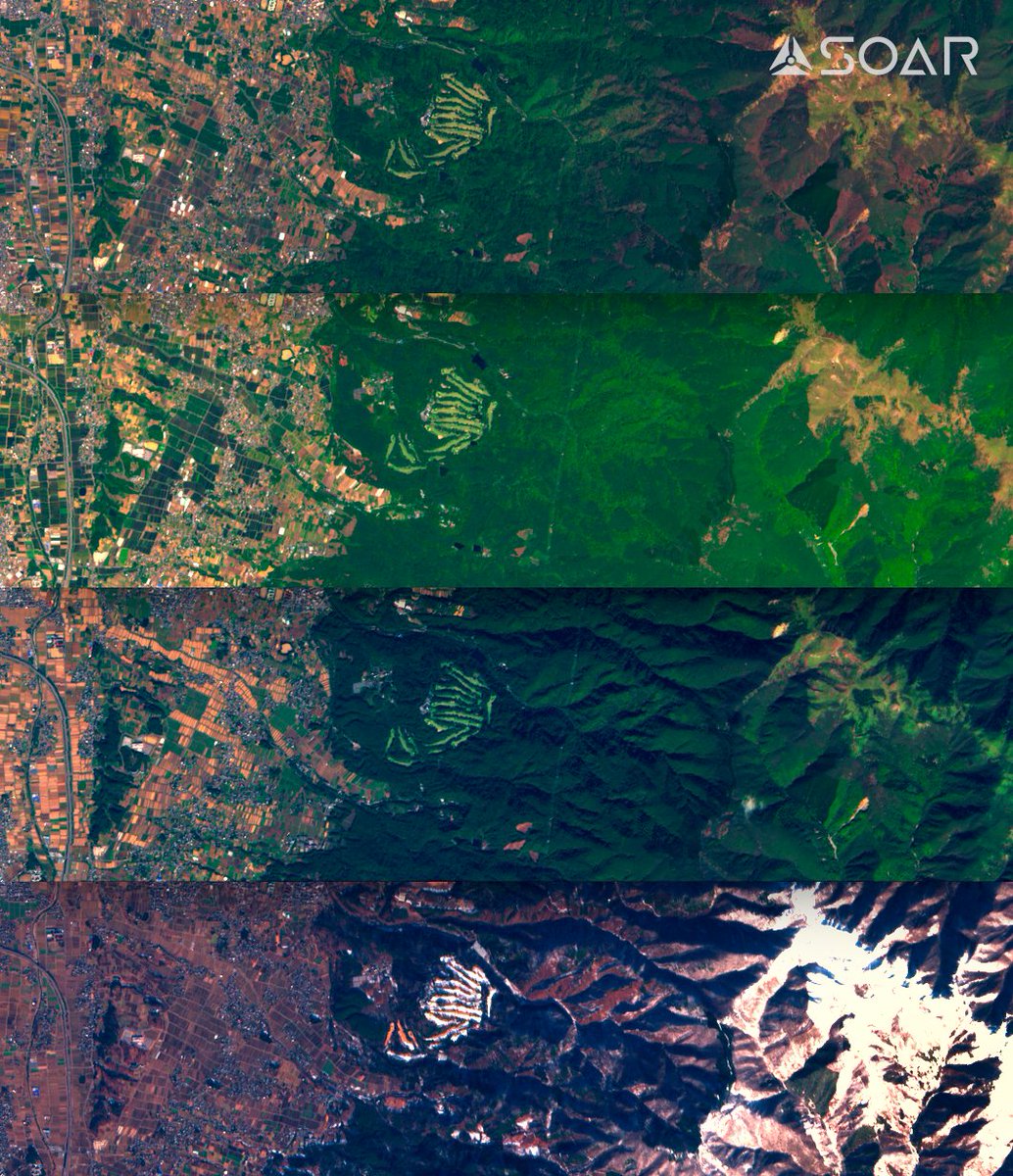 SoarAtlas's tweet photo. Which season is your favorite? 😍
🌸 Spring
☀️ Summer
🍂 Autumn
❄️ Winter

With https://t.co/yOQ7v9hQHM you can go back in time and compare satellite imagery. This enhanced piece was captured over Japan using #Sentinel.

Try it now: https://t.co/CEEPlnrUJB? https://t.co/CDhSx7Db0w