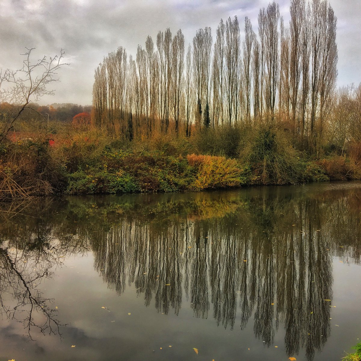 eddiestarck's tweet photo. Alamy image ID:

#Reflections #AlamyPOTM @AlamyContent https://t.co/3GSTleYEbj