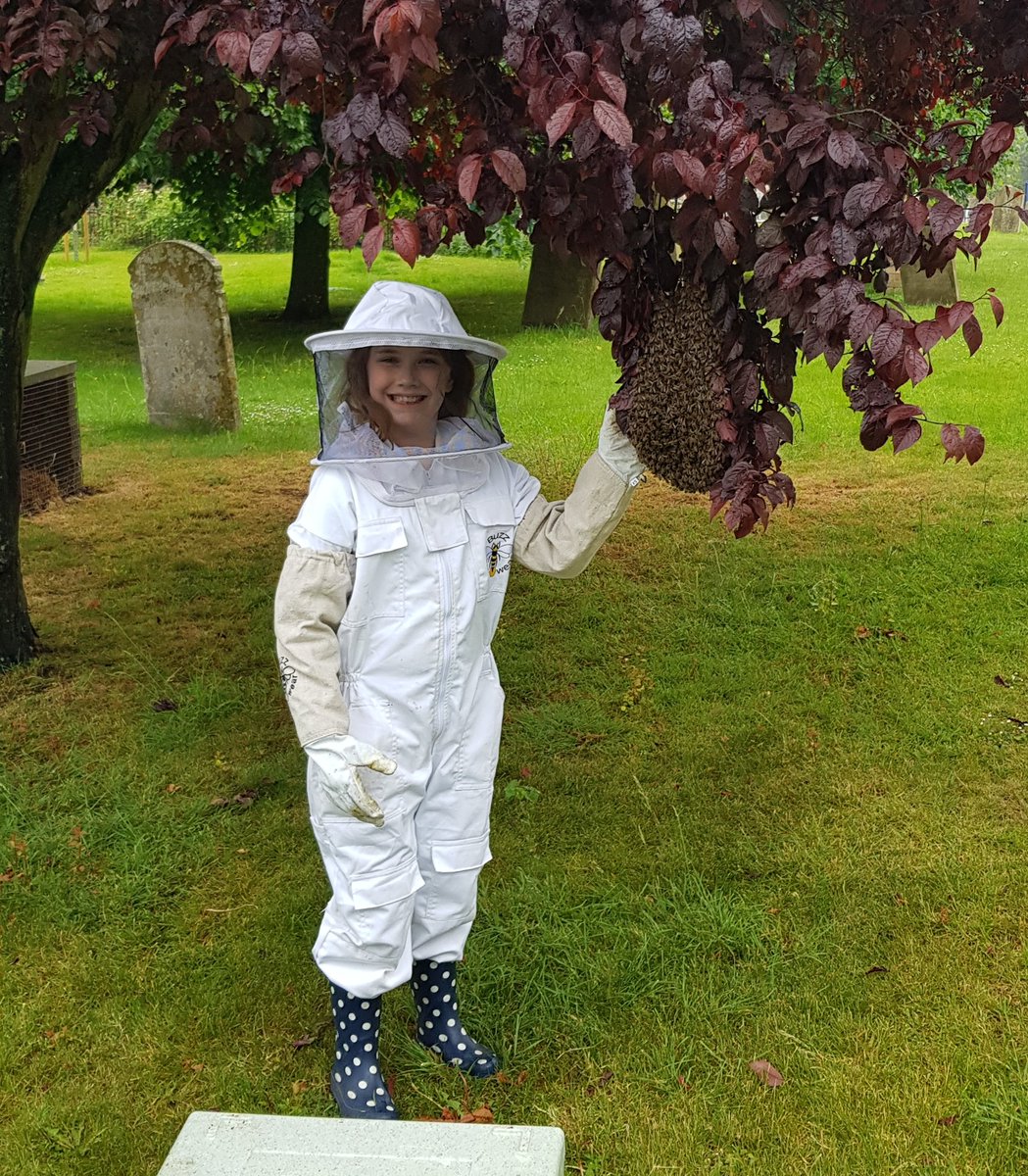 Flutterbuyzstu1's tweet image. My little beekeeper Astrid helping her Dad collect a swarm of honeybees 🐝
#beekeeping #bees #nature
