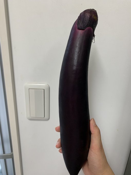 このナスデカすぎだろ 