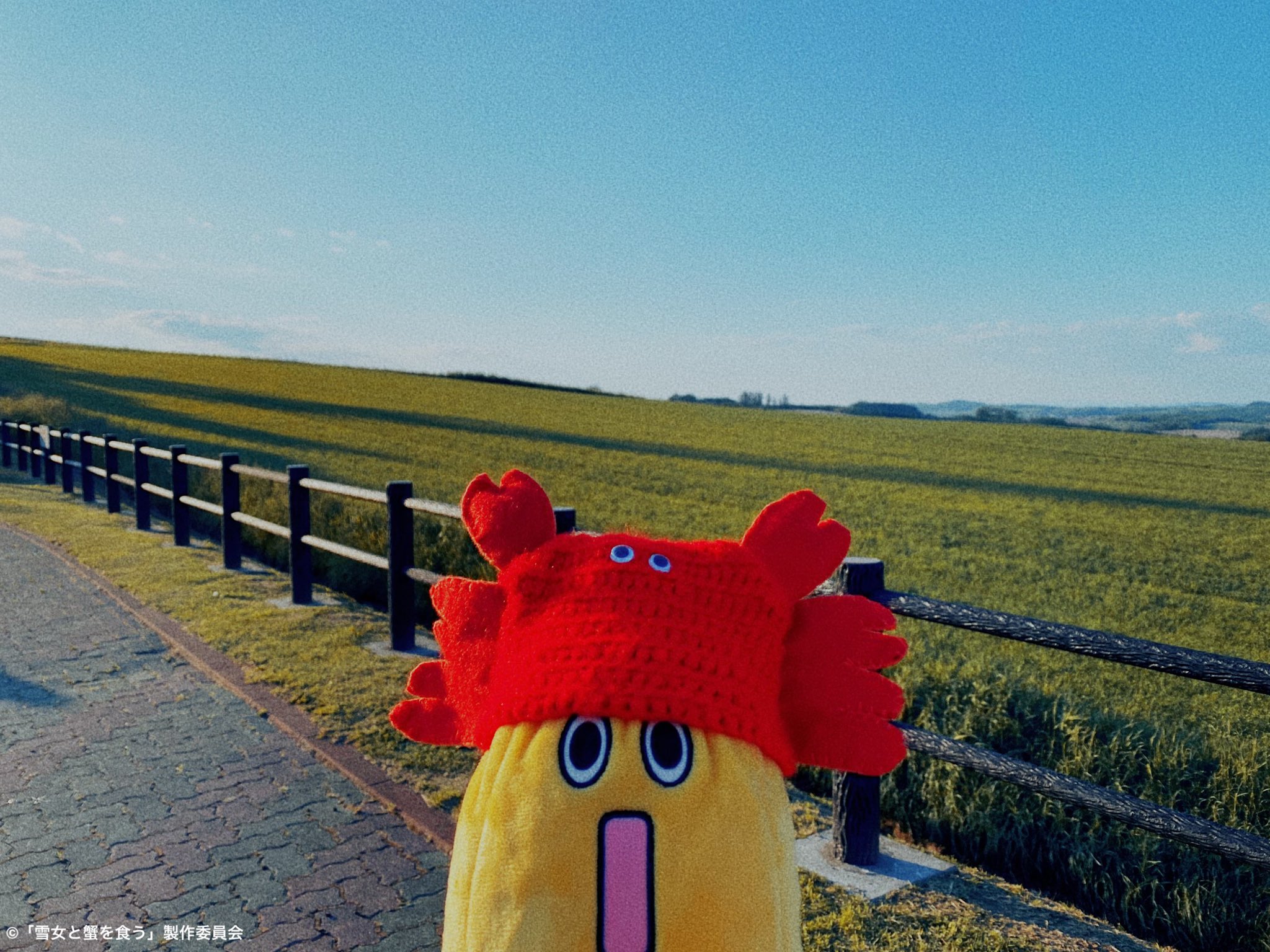 ジャニーズWEST - 蟹 重岡大毅と蟹を食うヤツ【ジャニーズWEST オタ活VLOG】 - YouTube