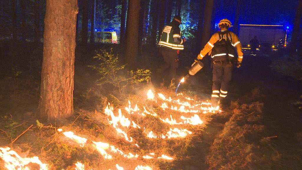 Nacht Floh tweet media