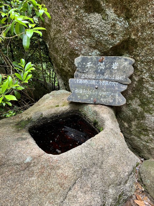 霊峰弥山の干満岩。標高500m地点にあるが満潮時は水が溢れるらしい。中の水は塩分濃度が高いそうだ。
ドブ色なので確かめる勇気無し。 