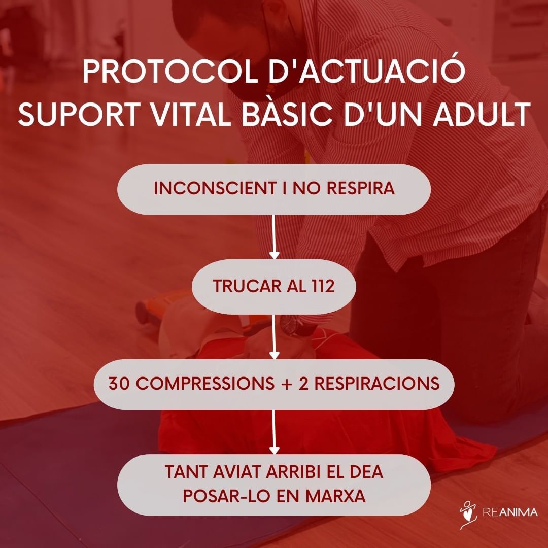 Cal actuar diferent en un adult i en un infant?👶👩 Sí, ja que els cossos són diferents i per tant, cada un té un #protocol d'actuació.

Avui us mostrem en 4 passos, el protocol d'actuació d'una #aturadacardíaca en un adult.👔

#RCP #catalunya #bages #reanimació #manresa #DEA