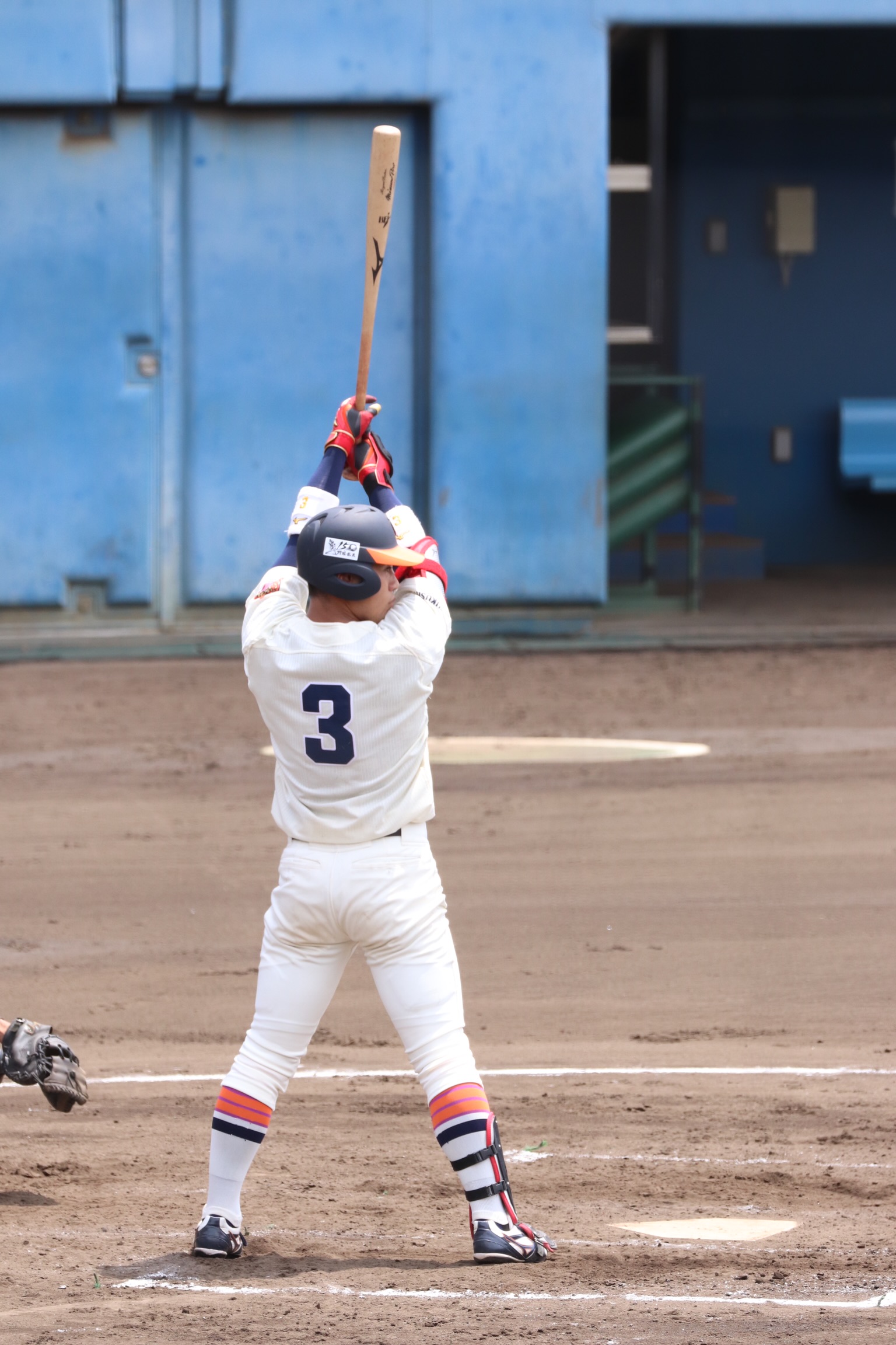 品多く 仙台大学硬式野球部 デサント練習用ジャケットOサイズ