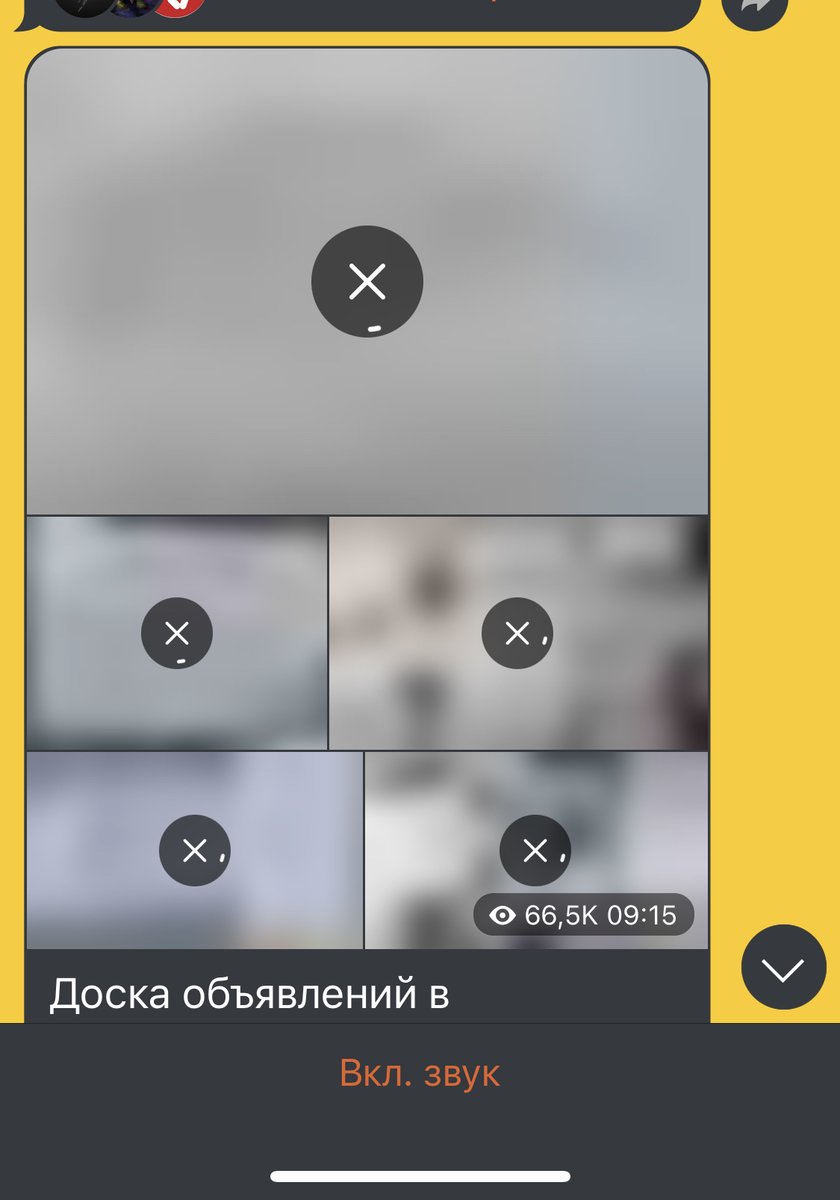 Т и м о ф é и ч tweet media