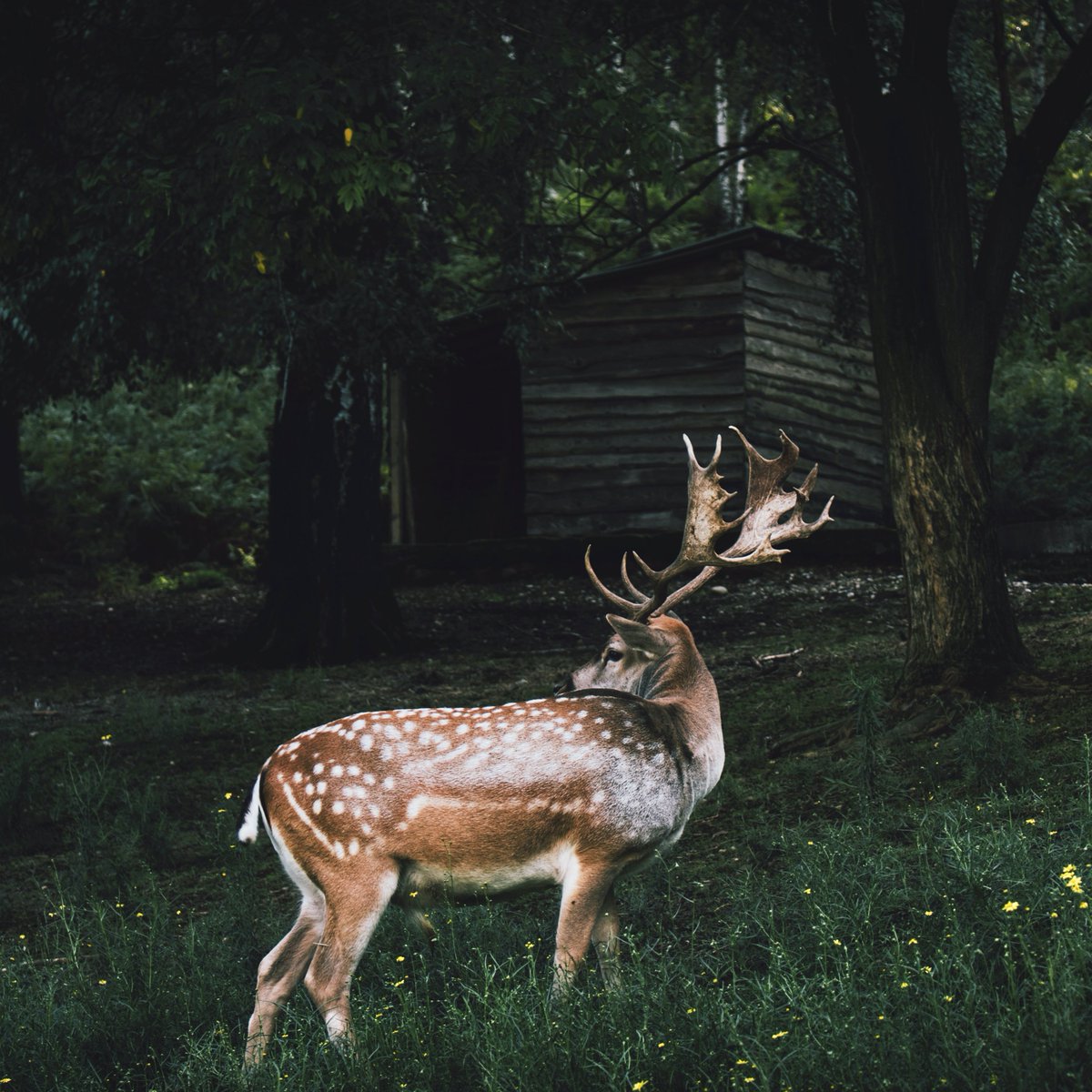 ❋ Entre los muertos, de @MikelSantiago
❋ Entrevistamos a @JDBarker
❋ Nunca serás inocente, de @XaviBarroso
❋ Un tal Cangrejo, de <a href="/KeunerAguirre/">Guillermo Aguirre</a> 
❋ Lo nuevo de Niklas Natt och Dag
❋ 20 años de <a href="/Astiberri/">Astiberri Ediciones</a>
❋ Novedades y recomendaciones

El martes a las 19:50h en @La2_TVE.