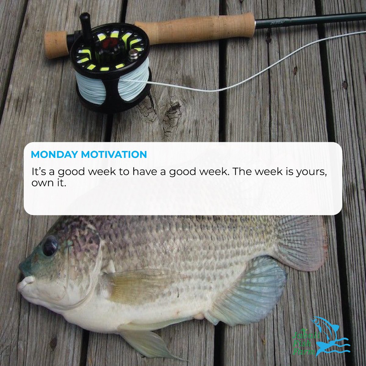 JFishfarm's tweet photo. "The biggest thrill wasn't in winning on  Sunday, but in meeting the payroll on Monday."

-Art Rooney

#mondaymotivation #jabalifishfarm 
#Kenyakwisha #MainaAndKingangi #Kasarani #MosesKuria #MasculinitySaturday #postmedicalinterns #Violence #sportpesaoffside #MrKitendawili https://t.co/UjhFLdzsR8
