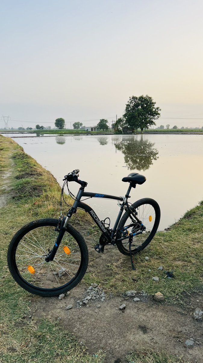 victorrandev's tweet photo. https://t.co/WHPppKSqde