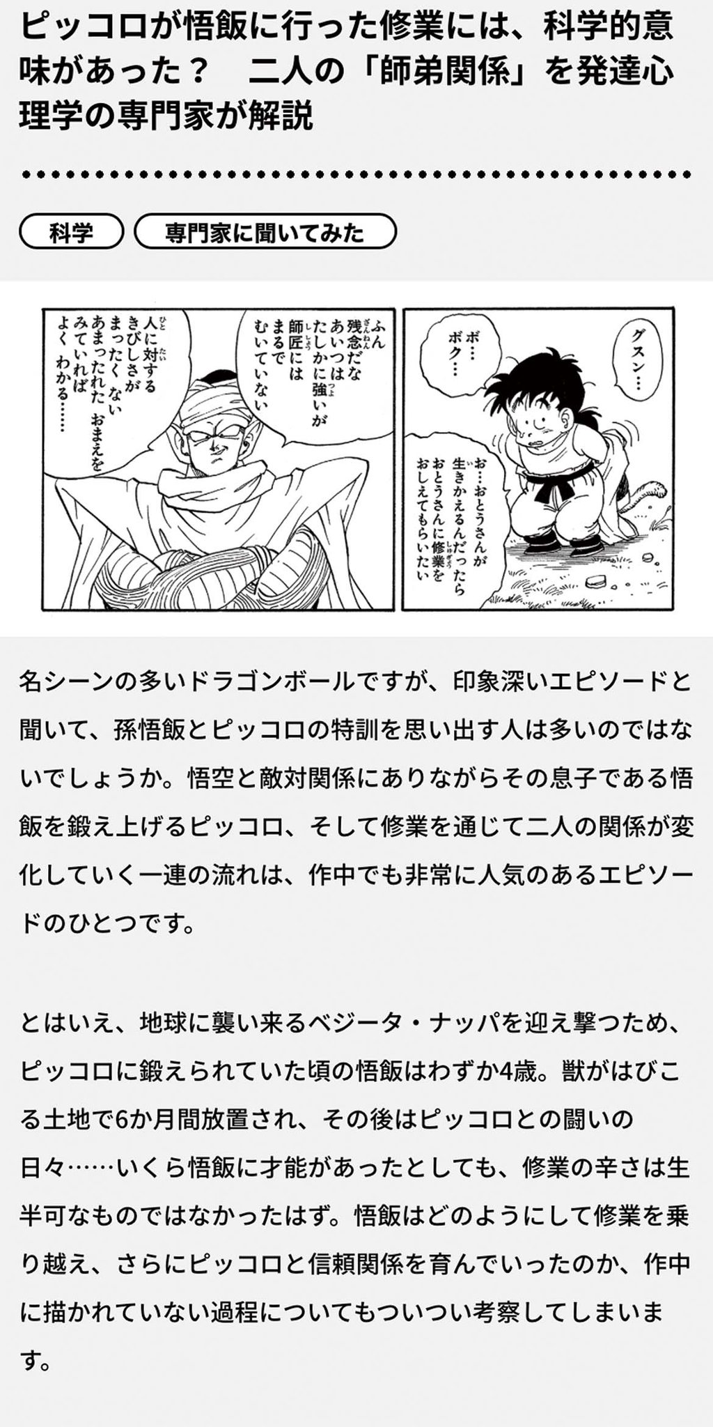 ドラゴンボール - ドラゴンボール■フルリペイント■ピッコロ／孫悟飯★師弟関係を表現★ ドラゴンボール□フルリペイント□ピッコロ／孫悟飯☆師弟関係を