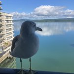 コバックス株式会社のツイート画像