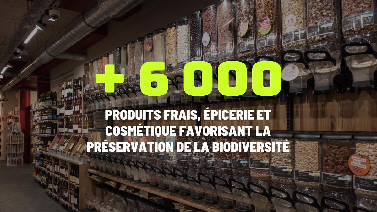 Groupe_Casino's tweet photo. 5⃣ Pionnier du bio en France, @_NATURALIA se distingue par une offre de plus de 6 000 produits frais, épicerie et cosmétiques, promouvant la #biodiversité et favorisant l'#agriculture #locale française. #UnPasdePlus https://t.co/ukjhG4wQOR