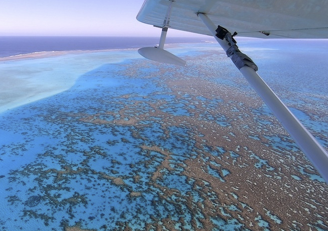 Accurate and automatic detection of dugongs, eagle rays, sharks over large areas by coupling aerial survey and deep learning #AI <a href="/NewCaledonia/">New Caledonia (Nouvelle-Calédonie)</a>

cordis.europa.eu/article/id/436…

Citizen science as a source of annotated data

<a href="/CORDIS_EU/">EU Research Results</a>
<a href="/umontpellier/">Université de Montpellier</a> 
<a href="/lirmm_/">LIRMM</a> 
<a href="/UMREntropie/">Entropie - Tropical Marine Ecology Lab.</a> 
<a href="/umrMARBEC/">Marbec</a>