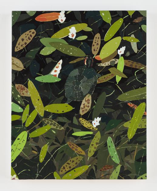WomensArtForAll's tweet photo. Hilary #Pecis #WomensArt #ArtByWomen •Pond Turtle• https://t.co/w0bzbcJcQp