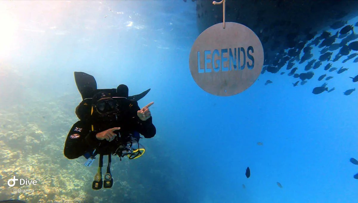 DivewithLegends's tweet photo. This indeed could be you. Experiencing the warm waters of the Red Sea when come #DivingwithLegends - Start planning your next Egypt adventure... https://t.co/tWb1l3kxZJ
