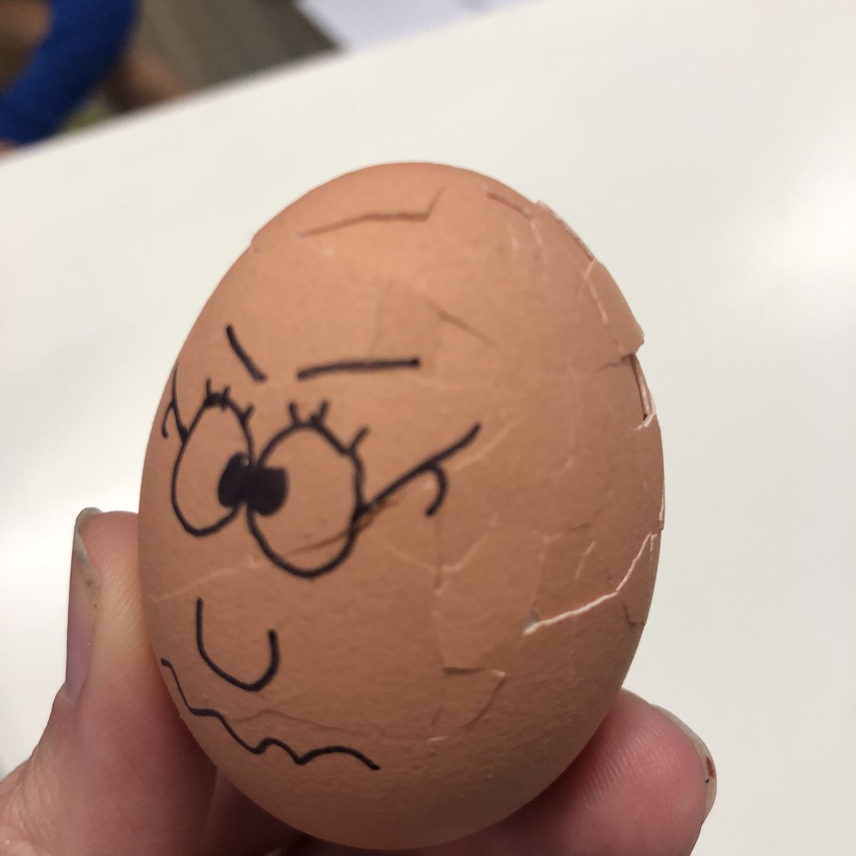 An unfortunate eggcident during what was an otherwise eggcellent eggsample of acquiring and applying science vocabulary in our forces unit.   🥚 @SPSC_Adelaide <a href="/jasmineftaylor1/">Jasmine Taylor</a> <a href="/JGelsthorpe/">Jon Gelsthorpe</a>
