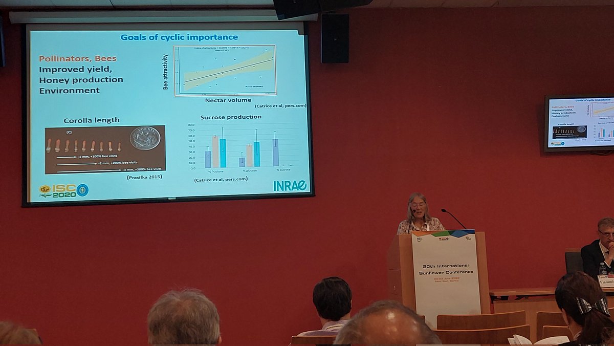 LIPME_Toulouse's tweet photo. Felicity Vear presenting historical perspective on #sunflower research and breeding including works from @INRAE_Tlse @LIPME_Toulouse #LIPME_ASTR and #LIPME_SPI @stephane_munos on #drought and #orobanche resistance at #ISC2022 via @NicoLanglade https://t.co/WasrGA54Vo