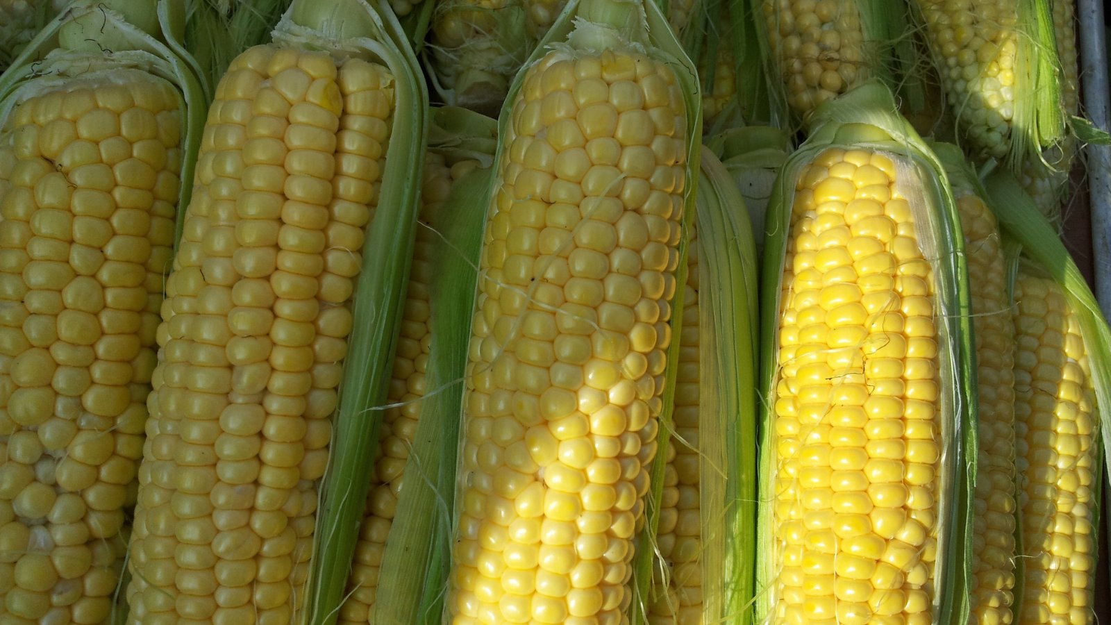 bayer-crop-science-espa-a-on-twitter-monsoon-active-el-herbicida