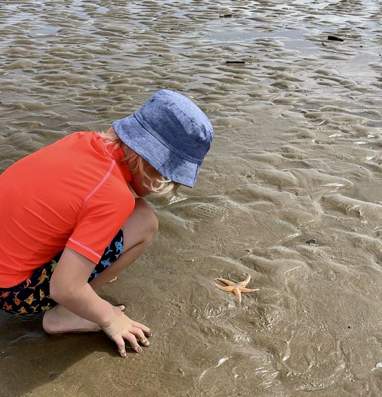LomasHaley's tweet photo. We’ve had an amazing weekend in #WALES so lucky to see starfish on the beach!⭐️🏝  

@AbbotsPrimary @MissLilley1 https://t.co/mNThpR5fln