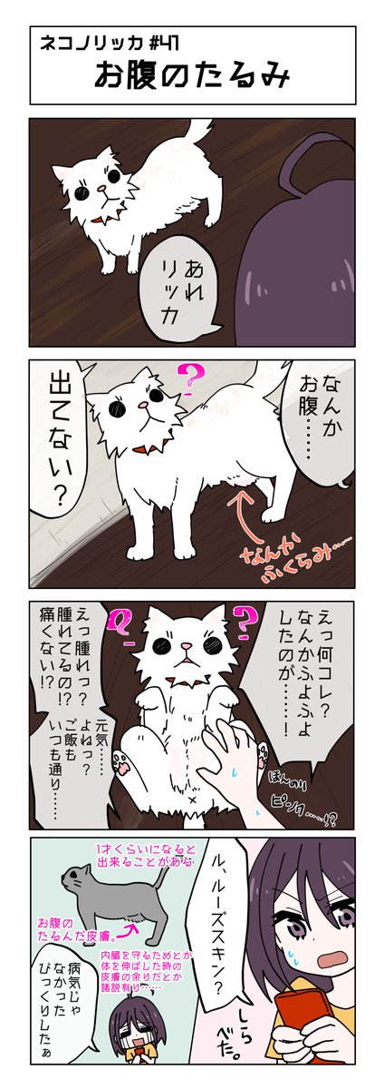 第41話!
#ネコノリッカ #猫リッカ #サイベリアン #四コマ漫画 #猫漫画 #猫の居る暮らし #猫好きさんと繫がりたい #猫 #漫画がよめるハッシュタグ