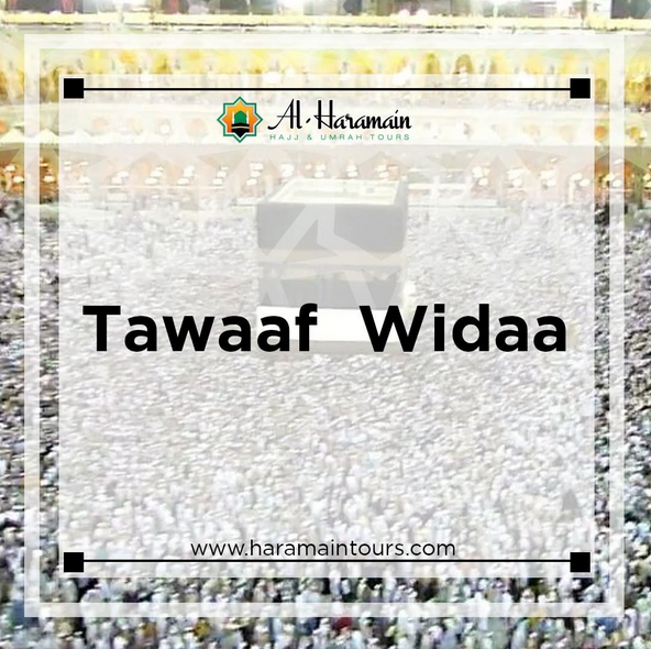 AlHaramainTours's tweet photo. Al Haramain Hajj &amp; Umrah Tours Ltd | #Tawaaf #Widaa!!!

#HajjPackages #HajjPackagesUK #UmrahPackages #UmrahPackagesUK #HajjAndUmrahPackages

Visit - https://t.co/zyfbXdwrIz

Or

Quick Call - 01254 290101 https://t.co/H3BClgfpDf