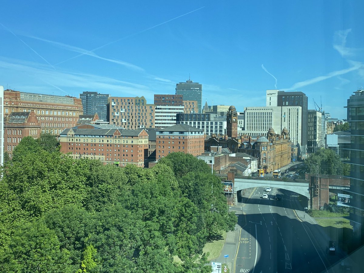 Finally - #ERSS2022 in Manchester is about to start! <a href="/BeeSustainable1/">Sabine SustainaBee</a> and I present today (panel1 16:45) our first findings on the dilemmas of households choosing demand response products