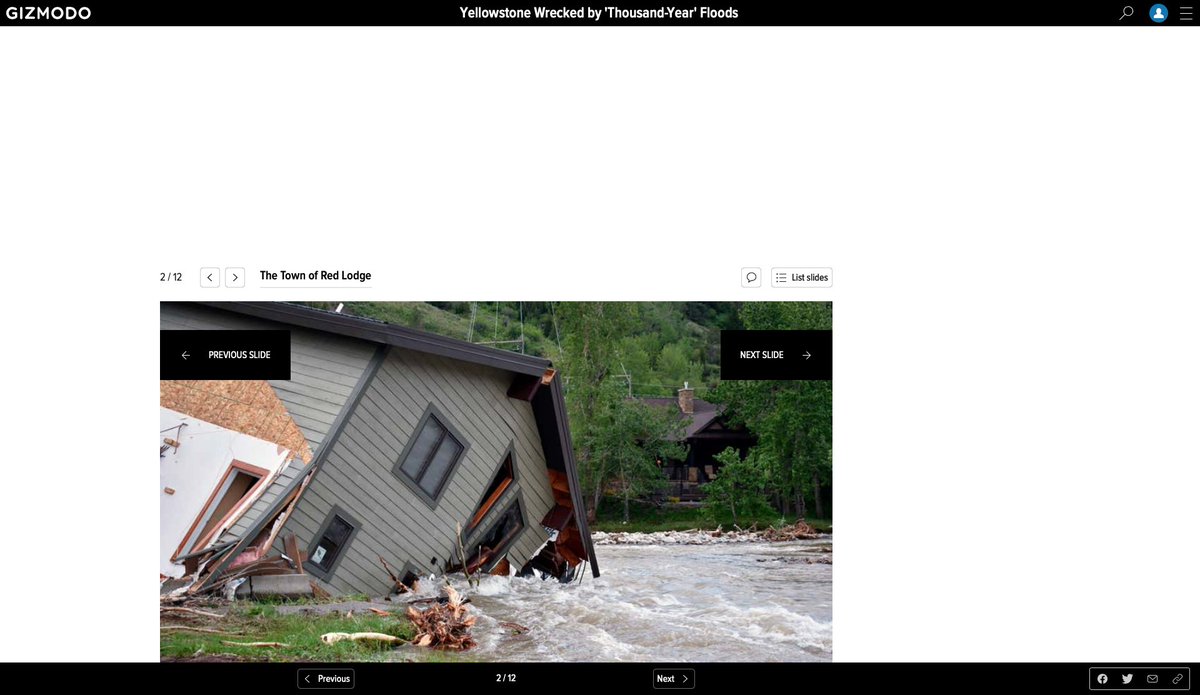 jay robinson tweet media