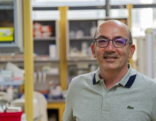 Tigem_Telethon's tweet photo. #JobOpportunity 👩‍🏫 Pre- or Post-Doctoral Fellow Position in Conte's Lab
👉Research on pharmacological therapies for retinal diseases
👉Preferable background in cellular/molecular biology &amp; animal handling
👉More info: https://t.co/6l9aYrUvZ3
#ScienceJob #Researcher #Joboffer https://t.co/prg2RReRXk
