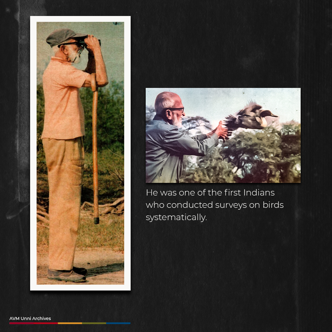 AVMUnniArchives's tweet photo. Remembering Dr. Salim Ali on his death anniversary.

#salimali #birdman #birds #orinthology #birds #india #avmunniarchives #salim #sparrow #archives #nature #sanctuary https://t.co/Mwy9f95NMe