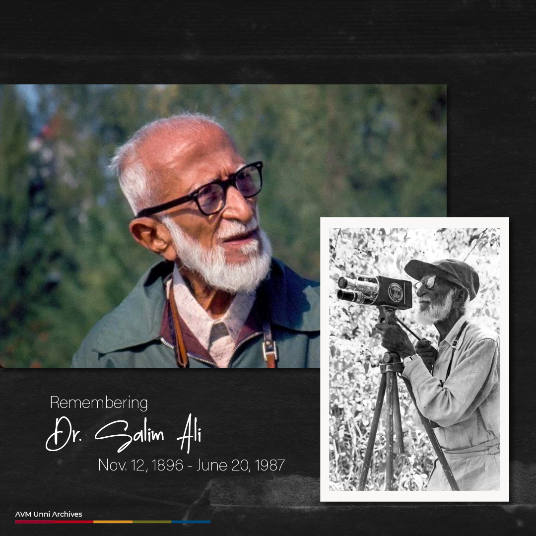 AVMUnniArchives's tweet photo. Remembering Dr. Salim Ali on his death anniversary.

#salimali #birdman #birds #orinthology #birds #india #avmunniarchives #salim #sparrow #archives #nature #sanctuary https://t.co/Mwy9f95NMe