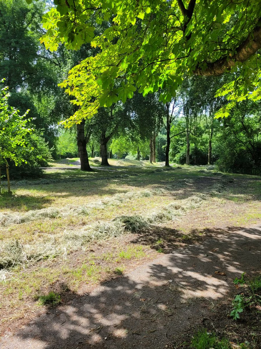 In de parken is of wordt ook weer gemaaid. Daarbij komt het totaalbeeld er weer mooi bij te liggen. Zeker als daarna ook de wiersen opgeraapt zijn. #zoetermeer #maaibeleid #balenpers