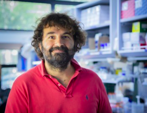 Tigem_Telethon's tweet photo. #JobOpportunity 👩‍🏫 Post-Doctoral Fellow Position in Settembre's Lab
👉Focus on regulation &amp; medical implication of selective autophagy
👉Required: PhD
👉Preferable: experience in cellular &amp; molecular biology &amp; mouse genetics
👉More: https://t.co/SVaaJTT7PI
#ScienceJob #Researcher https://t.co/sYa8aAvDiJ