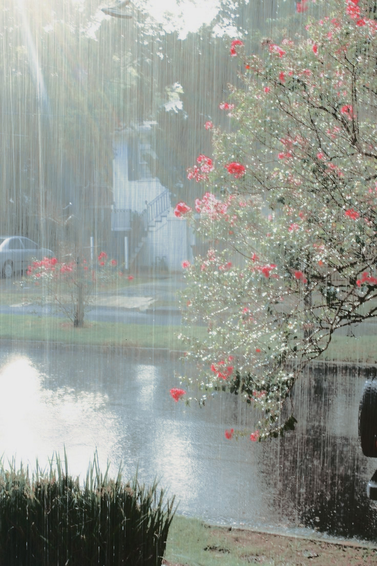 ㅤ    

₍ ⭒ ₎    20 june
16:37   tokyo.

▭▬     天気雨.

ㅤ